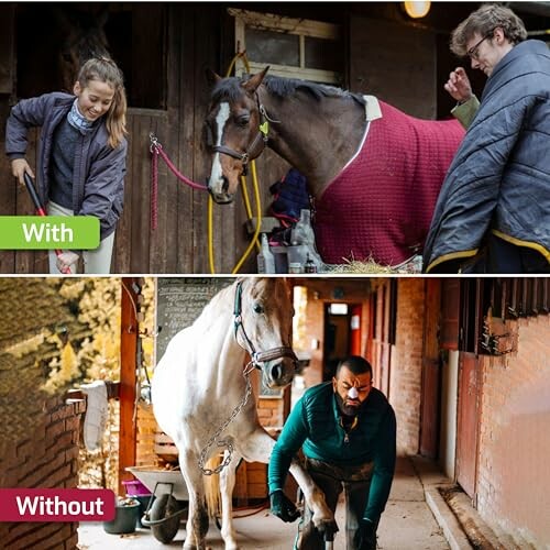 Two images comparing horse care with and without professional help.