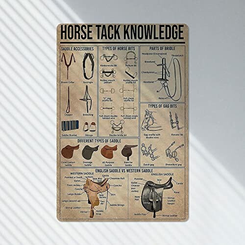 Horse tack knowledge chart with saddle accessories, types of horse bits, and parts of bridle.