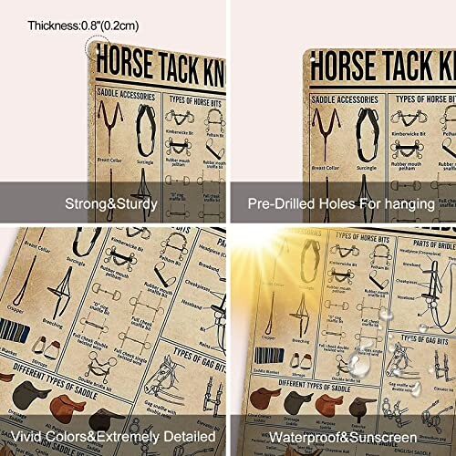 Horse tack knowledge poster with features like strong and sturdy, pre-drilled holes, vivid colors, and waterproof.