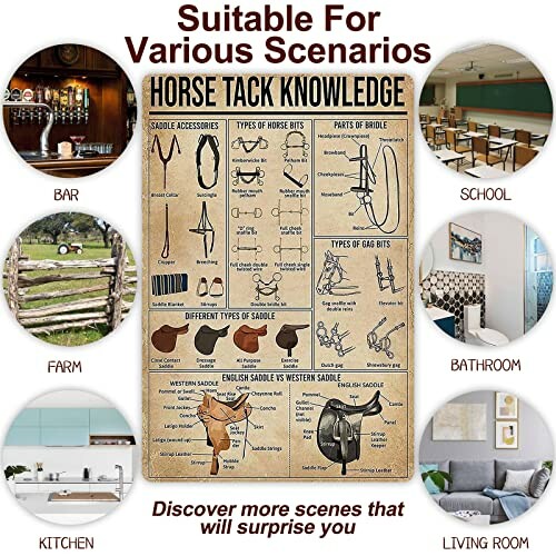 Illustrated horse tack knowledge chart with various scenarios shown: bar, school, bathroom, living room, kitchen, farm.