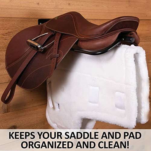 Saddle and pad organized on a wall mount.